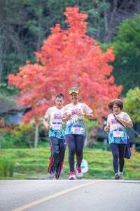 BIB: 8013, 2011
                            <button type="button" onclick="openModal(19240772)" class="btn btn-primary btn-sm float-right btn-popup" data-toggle="modal" data-target=".modal-high-quality">
                        <i class="fas fa-shopping-cart"></i> Add to Cart
                    </button>
                                            <button type="button" onclick="isThisMe(19240772, true)" class="btn btn-success btn-sm float-right btn-popup btn-isme hidden" data-toggle="tooltip" data-placement="bottom" title="นี่คือรูปของคุณใช่ไหม คลิกที่นี่เพื่อเอาเข้าอัลบั้ม">
                        <i class="fas fa-plus"></i> Add to album
                    </button>
                    <button type="button" onclick="isThisMe(19240772, false)" class="btn btn-warning btn-sm float-right btn-popup btn-isnotme hidden">
                        <i class="fas fa-ban"></i> Remove from album
                    </button>